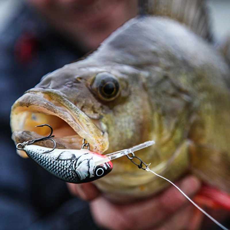 Salmo Hornet Floating Lures